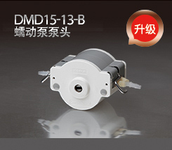 DMD15-13-B泵头升级